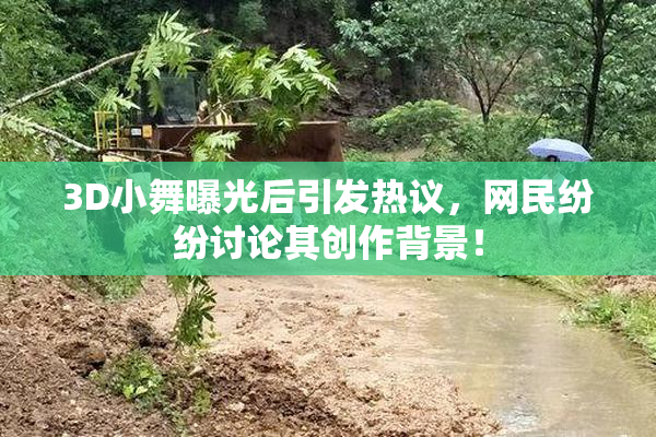 3D小舞曝光后引发热议，网民纷纷讨论其创作背景！