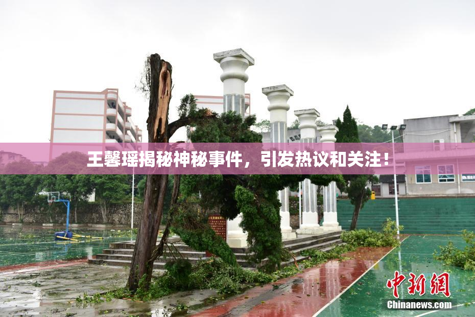 王馨瑶揭秘神秘事件，引发热议和关注！