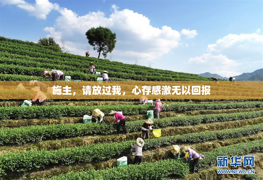 施主，请放过我，心存感激无以回报