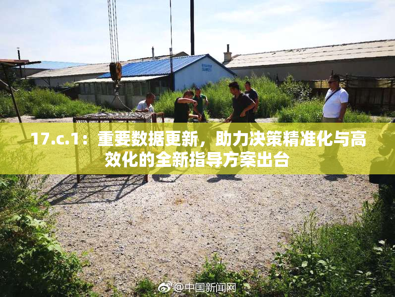 17.c.1：重要数据更新，助力决策精准化与高效化的全新指导方案出台