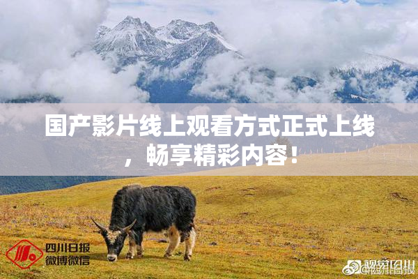 国产影片线上观看方式正式上线，畅享精彩内容！