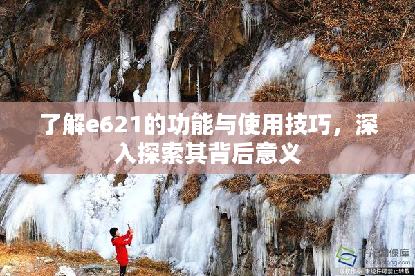 了解e621的功能与使用技巧，深入探索其背后意义