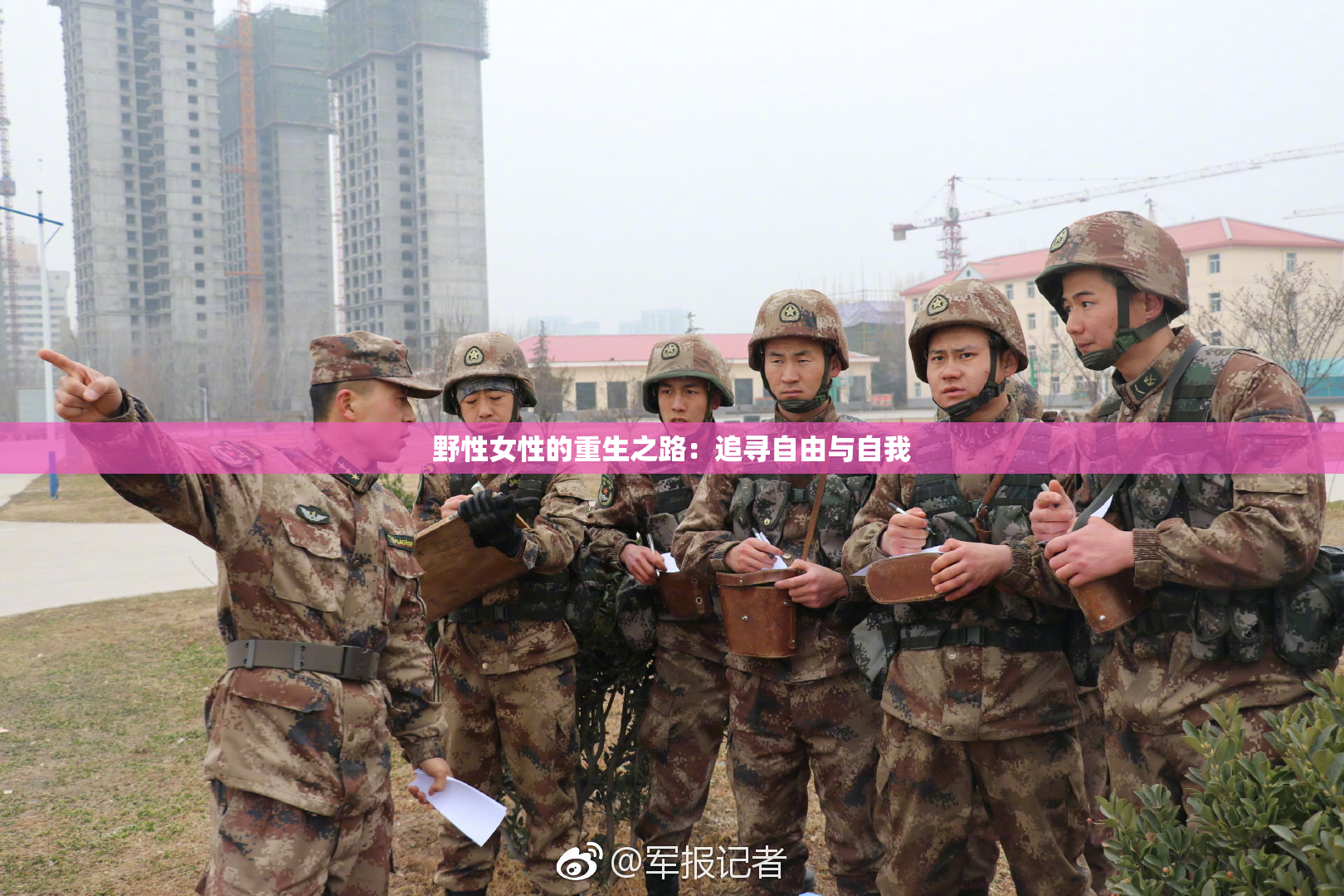 野性女性的重生之路：追寻自由与自我