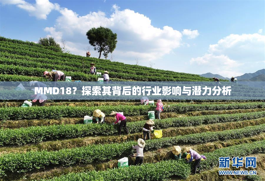 MMD18？探索其背后的行业影响与潜力分析