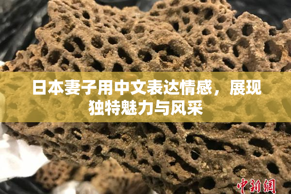 日本妻子用中文表达情感，展现独特魅力与风采