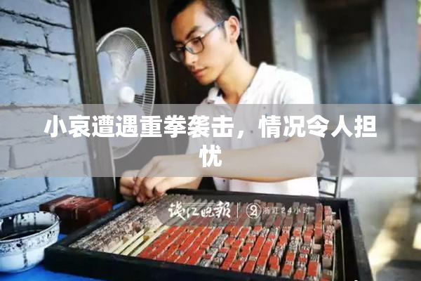 小哀遭遇重拳袭击，情况令人担忧