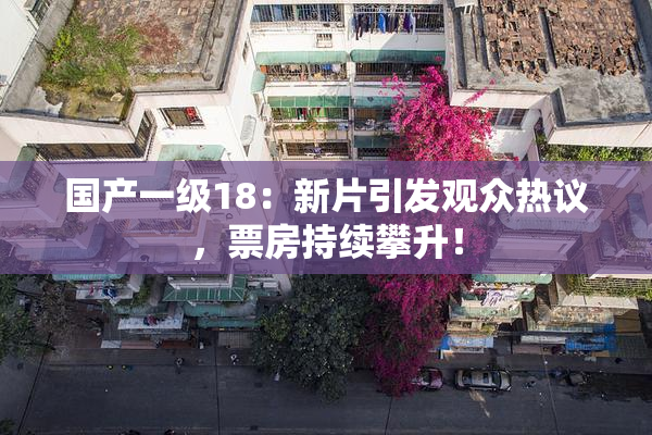 国产一级18：新片引发观众热议，票房持续攀升！