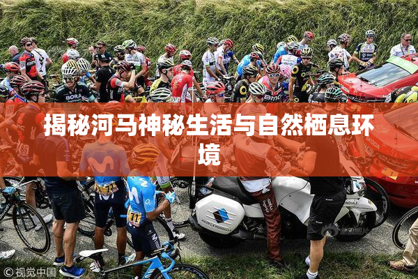 揭秘河马神秘生活与自然栖息环境