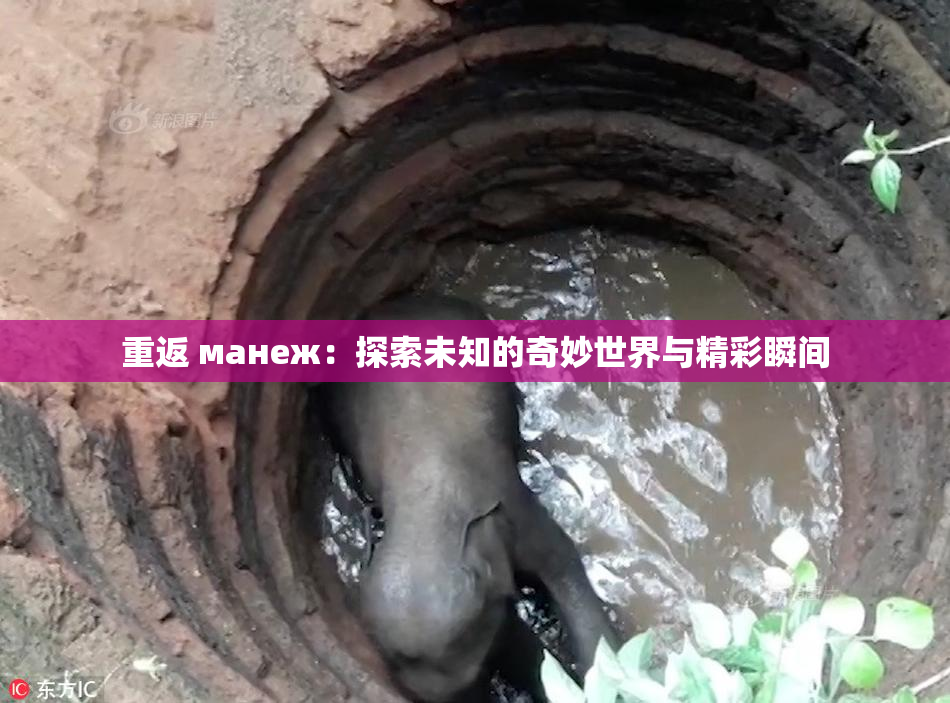 重返 манеж：探索未知的奇妙世界与精彩瞬间