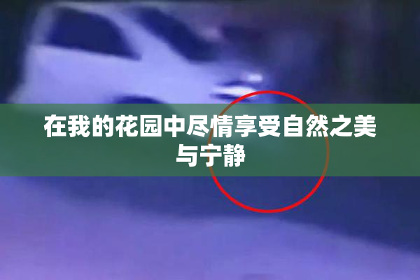 在我的花园中尽情享受自然之美与宁静