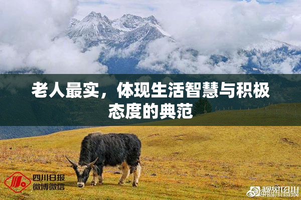 老人最实，体现生活智慧与积极态度的典范