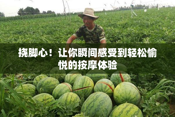 挠脚心！让你瞬间感受到轻松愉悦的按摩体验