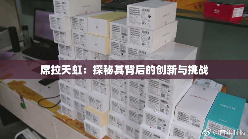 席拉天虹：探秘其背后的创新与挑战