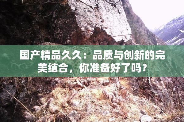 国产精品久久：品质与创新的完美结合，你准备好了吗？
