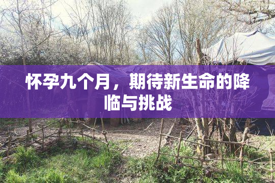 怀孕九个月，期待新生命的降临与挑战