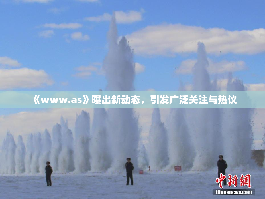 《www.as》曝出新动态，引发广泛关注与热议