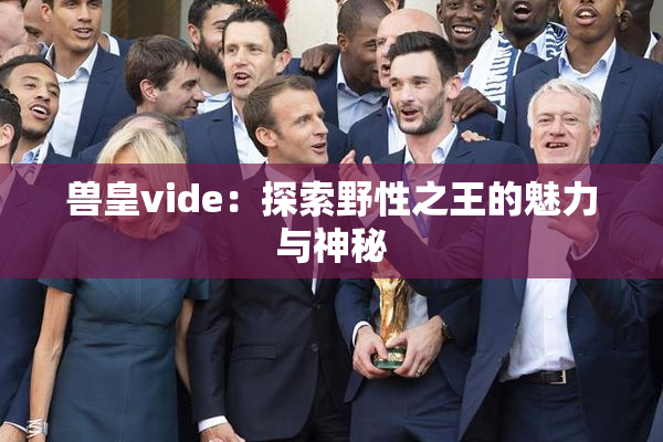 兽皇vide：探索野性之王的魅力与神秘
