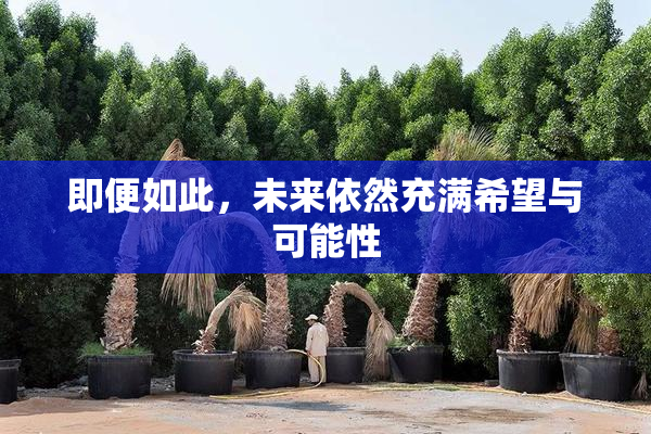 即便如此，未来依然充满希望与可能性