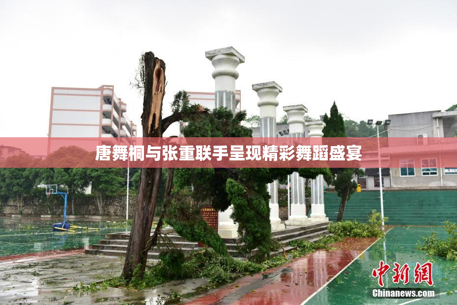 唐舞桐与张重联手呈现精彩舞蹈盛宴