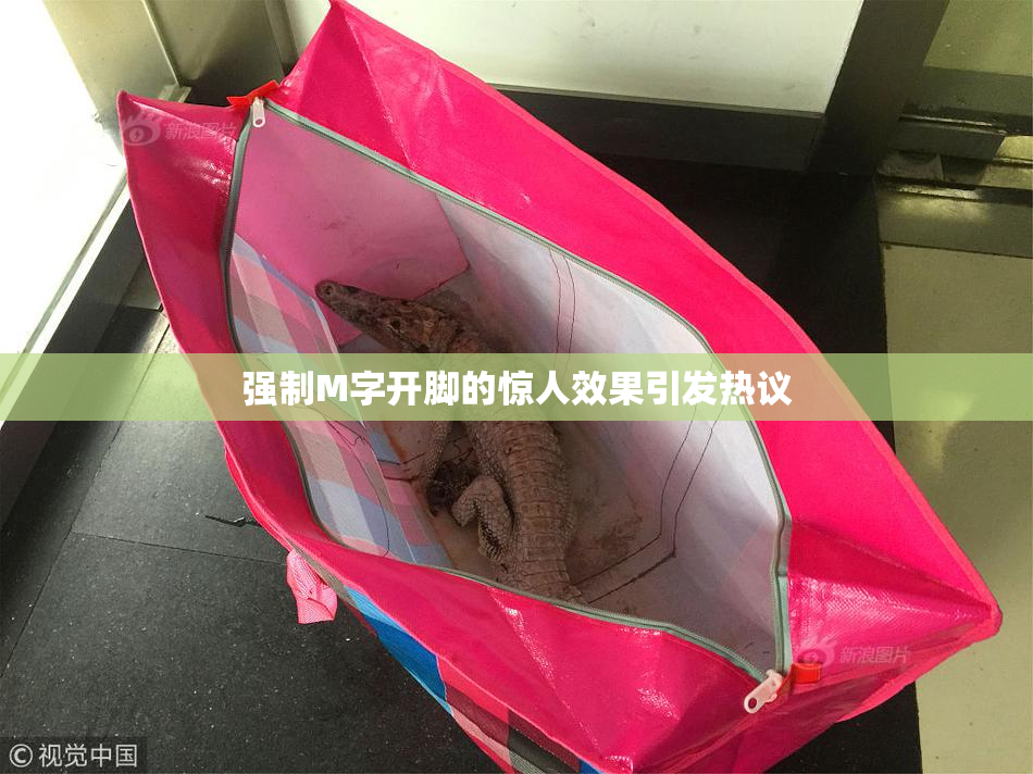 强制M字开脚的惊人效果引发热议