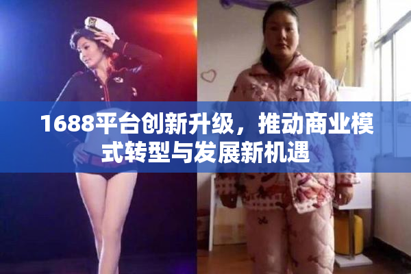 1688平台创新升级，推动商业模式转型与发展新机遇