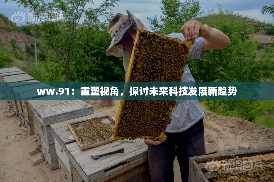 ww.91：重塑视角，探讨未来科技发展新趋势