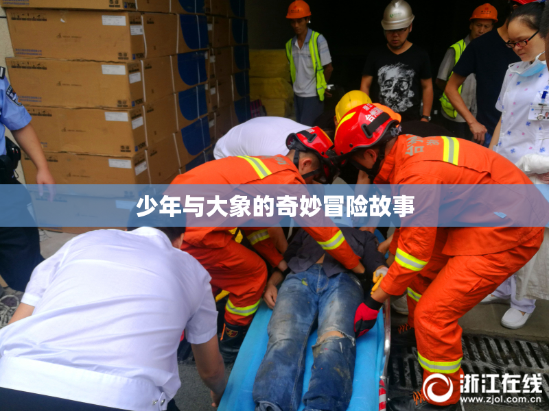 少年与大象的奇妙冒险故事
