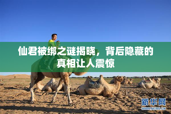 仙君被绑之谜揭晓，背后隐藏的真相让人震惊