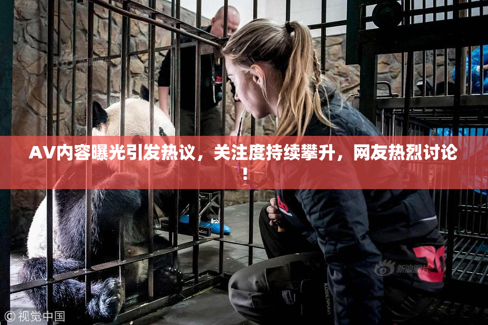 AV内容曝光引发热议，关注度持续攀升，网友热烈讨论!
