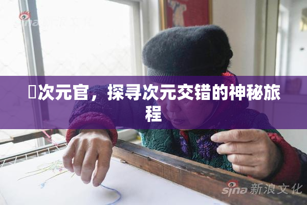 囧次元官，探寻次元交错的神秘旅程