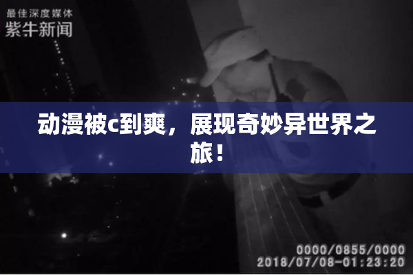 动漫被c到爽，展现奇妙异世界之旅！