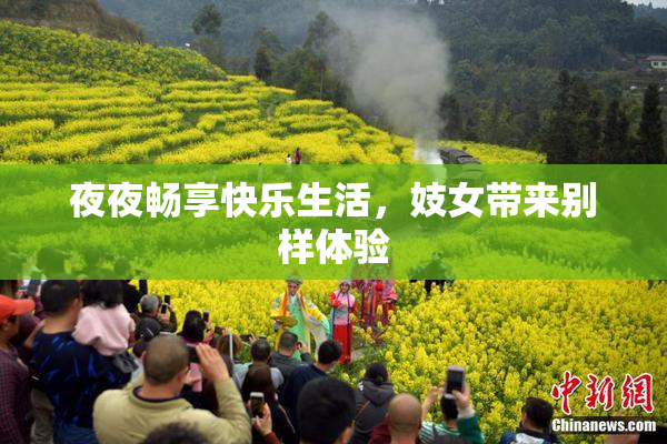 夜夜畅享快乐生活，妓女带来别样体验
