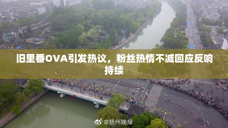 旧里番OVA引发热议，粉丝热情不减回应反响持续