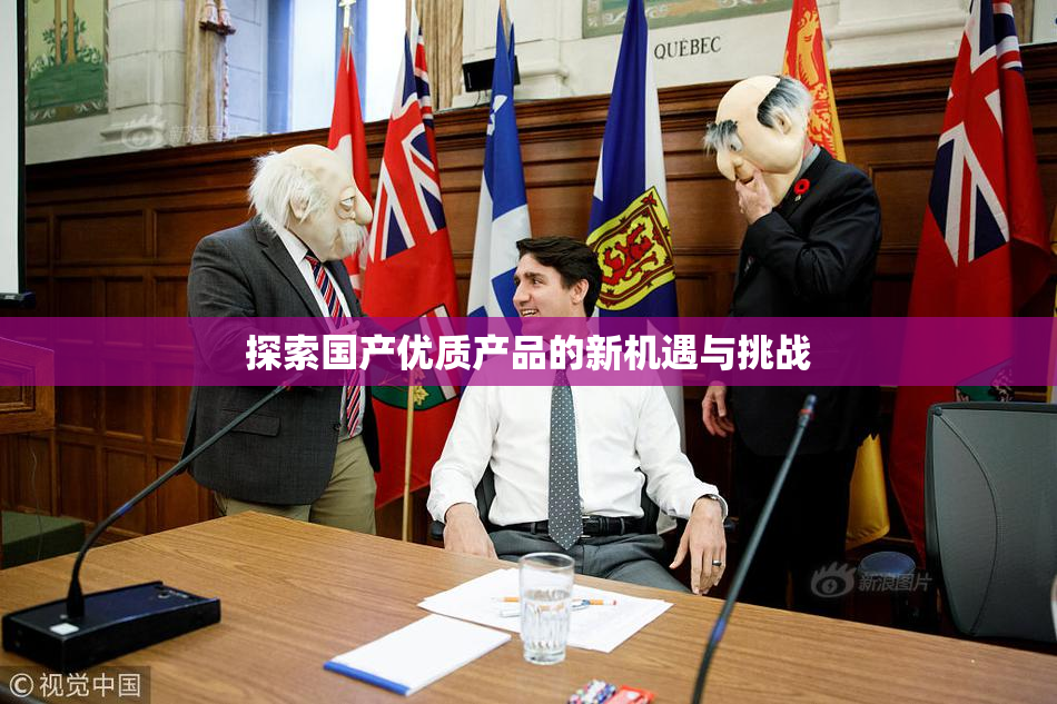 探索国产优质产品的新机遇与挑战