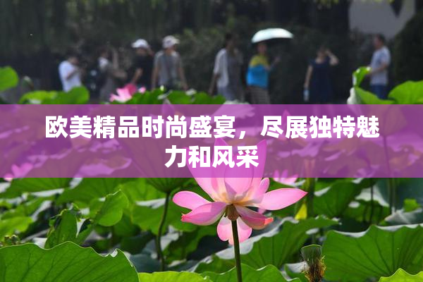欧美精品时尚盛宴，尽展独特魅力和风采