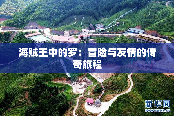 海贼王中的罗：冒险与友情的传奇旅程