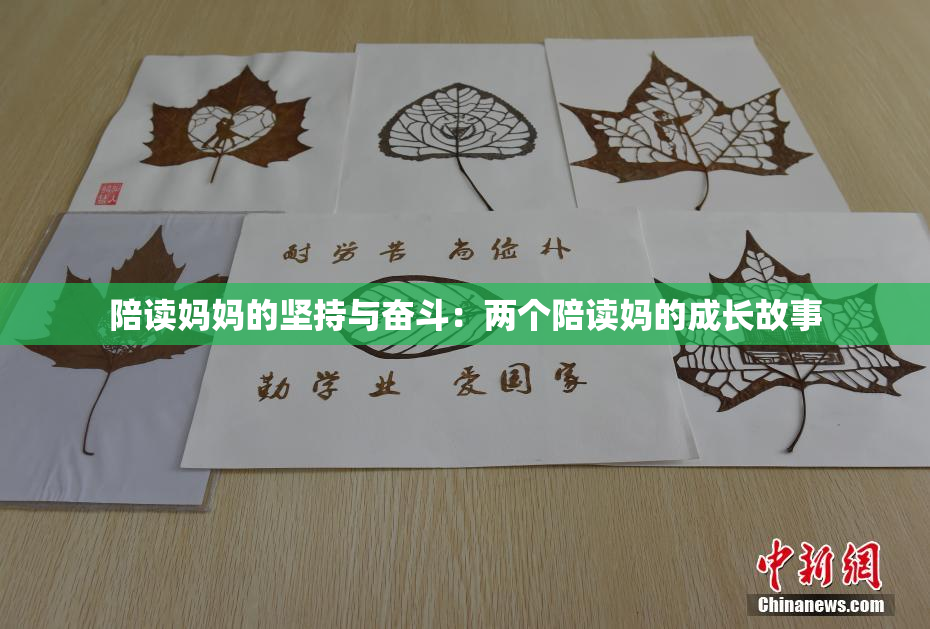 陪读妈妈的坚持与奋斗：两个陪读妈的成长故事