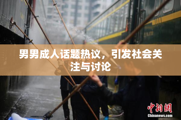 男男成人话题热议，引发社会关注与讨论