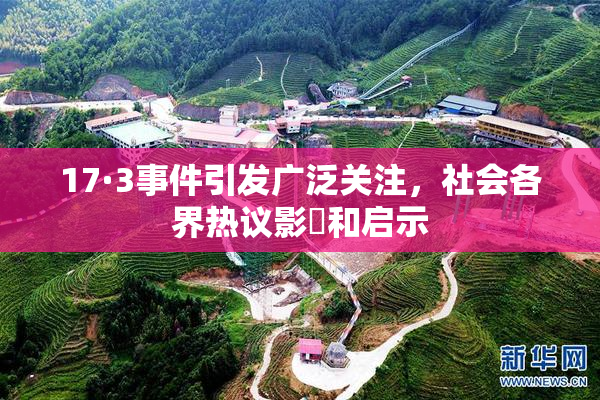 17·3事件引发广泛关注，社会各界热议影響和启示