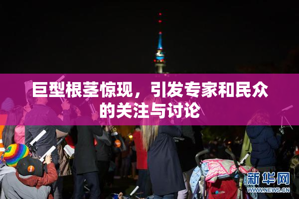 巨型根茎惊现，引发专家和民众的关注与讨论