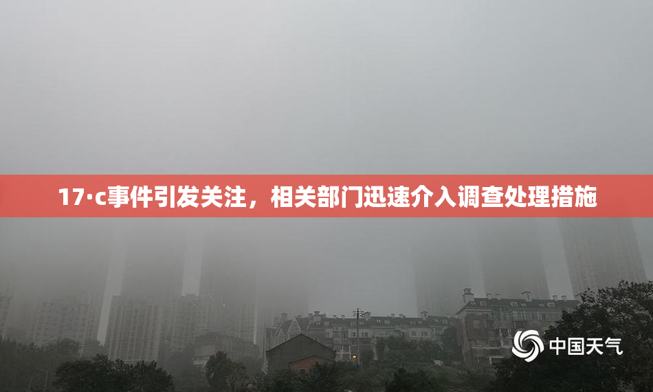 17·c事件引发关注，相关部门迅速介入调查处理措施