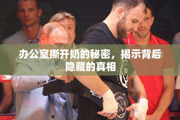 办公室撕开奶的秘密，揭示背后隐藏的真相