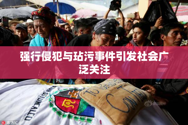 强行侵犯与玷污事件引发社会广泛关注