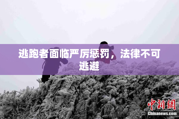 逃跑者面临严厉惩罚，法律不可逃避