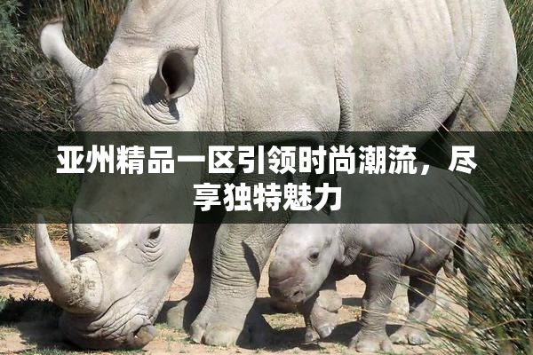 亚州精品一区引领时尚潮流，尽享独特魅力