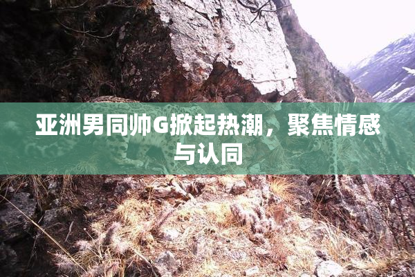 亚洲男同帅G掀起热潮，聚焦情感与认同