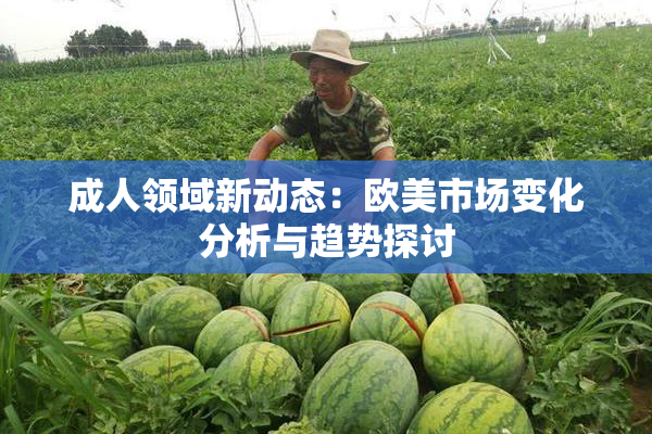 成人领域新动态：欧美市场变化分析与趋势探讨