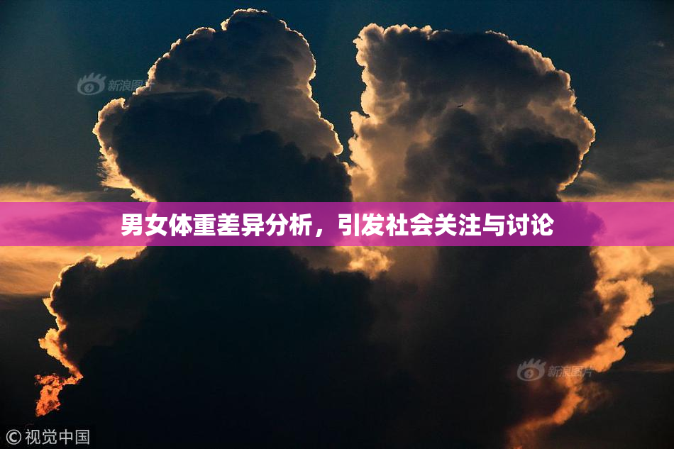男女体重差异分析，引发社会关注与讨论