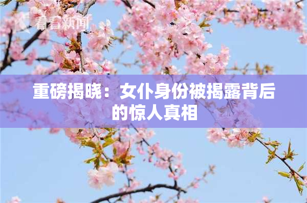 重磅揭晓：女仆身份被揭露背后的惊人真相