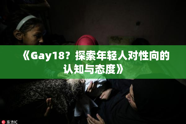 《Gay18？探索年轻人对性向的认知与态度》